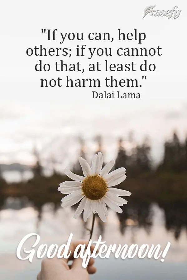 "If you can, help others; if you cannot do that, at least do not harm them."  Good afternoon!  Dalai Lama