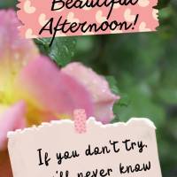 If you don't try, you'll never know what's possible. Have a beautiful afternoon!