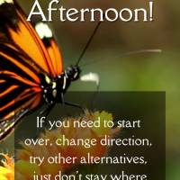 If you need to, start over, change direction, try other alternatives, just don't stay put where you can't evolve. Good afternoon!