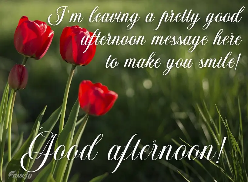 I'm sending you a message for a pretty afternoon to make you smile!  Good afternoon! 