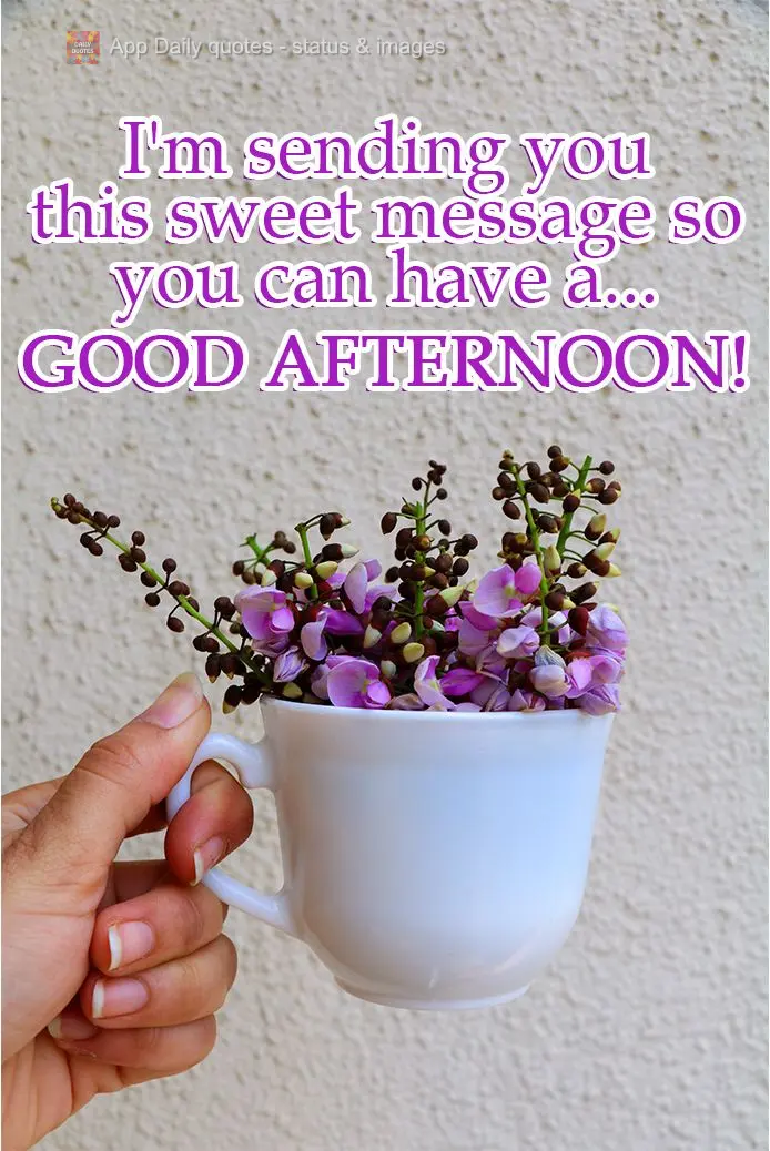 I'm sending you this sweet message so you can have a... Good afternoon!