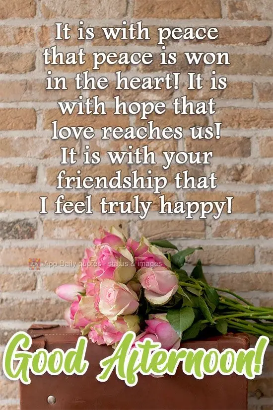 It is with appreciation that peace is achieved in the heart! It is with hope that love reaches us! It is with your friendship that I feel truly happy! Go...