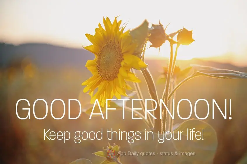 Keep good things in your life! Good afternoon!