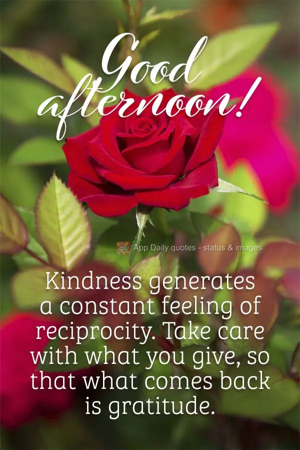Kindness generates a constant feeling of reciprocity. Take care with what you give, so that what comes back is gratitude.  Good afternoon! 