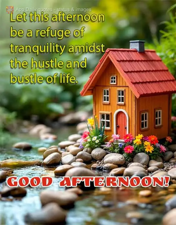 Let this afternoon be a refuge of tranquility amidst the hustle and bustle of life. Good afternoon! 