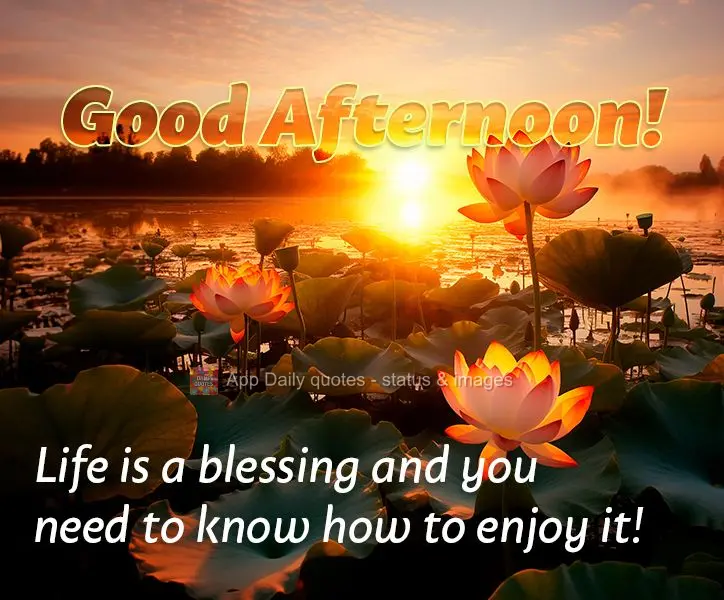 Life is a blessing and you need to know how to enjoy it! Good afternoon!