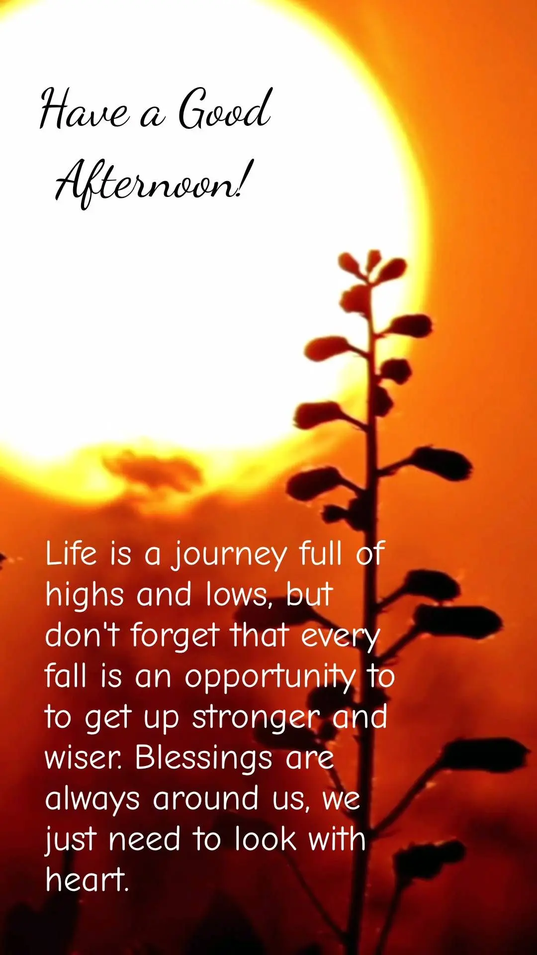 Life is a journey full of highs and lows, but don't forget that every fall is an opportunity to to get up stronger and wiser. Blessings are always around...