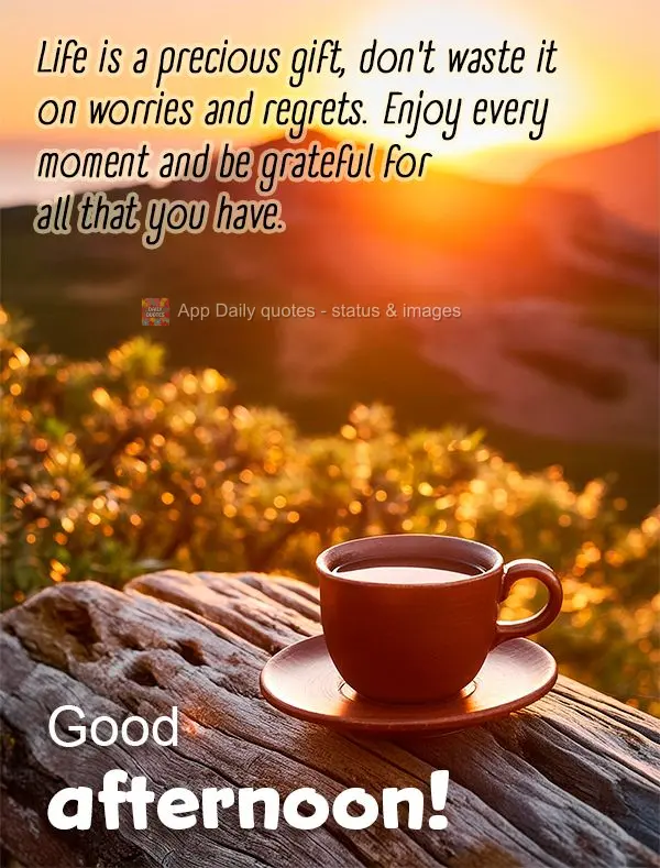 Life is a precious gift, don't waste it on worries and regrets. Enjoy every moment and be grateful for all that you have. Good afternoon!