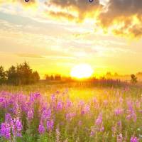Live the magical moments of your life to the fullest. Be at peace and you will be immensely happy! Have a good afternoon!