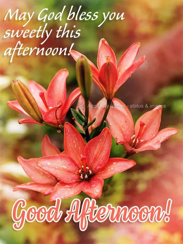May God bless you sweetly this afternoon! Good afternoon!