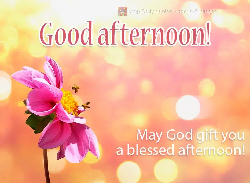 May God gift you a blessed afternoon! Good afternoon!