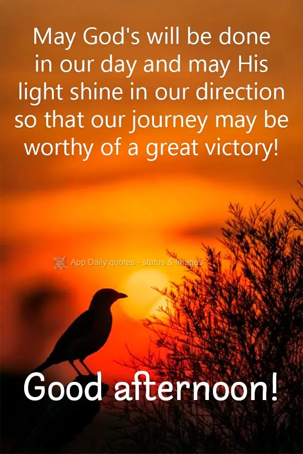 May God's will be done in our day and may His light shine in our direction so that our journey may be worthy of a great victory! Good afternoon!