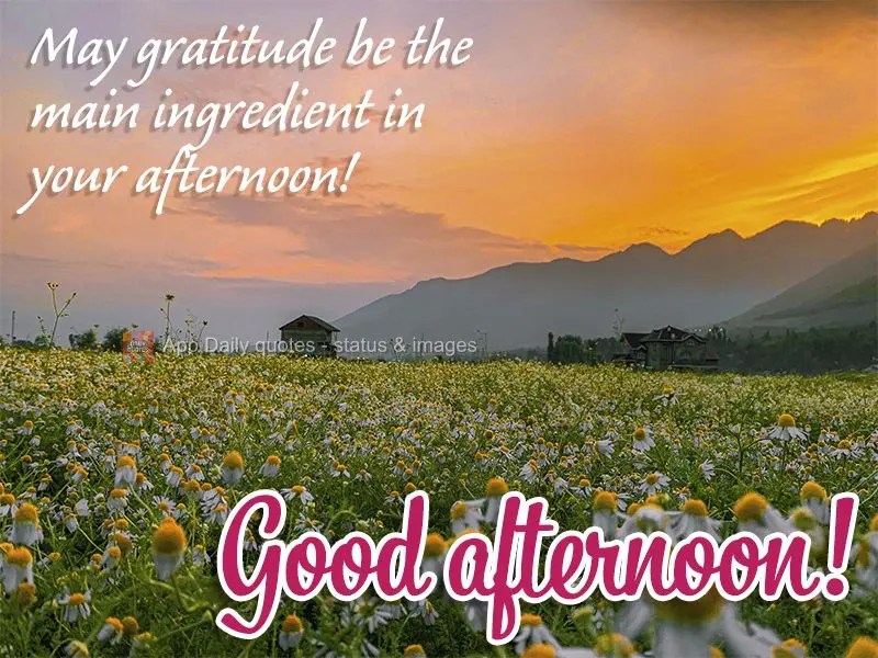 May gratitude be the main ingredient in your afternoon! Good afternoon!
