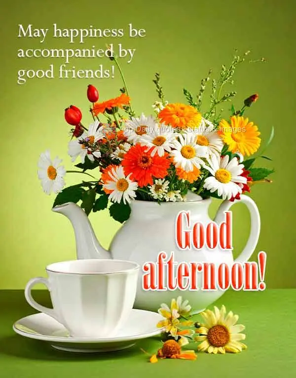 May happiness be accompanied by good friends! Good afternoon!