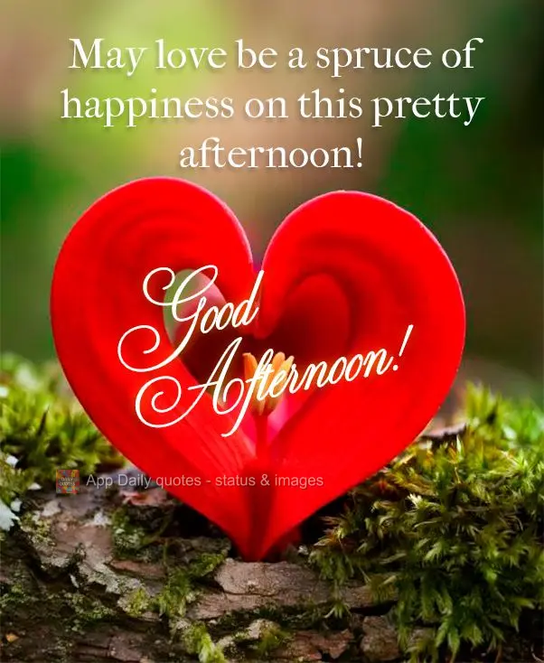 May love be a spruce of happiness on this pretty afternoon! Good afternoon!