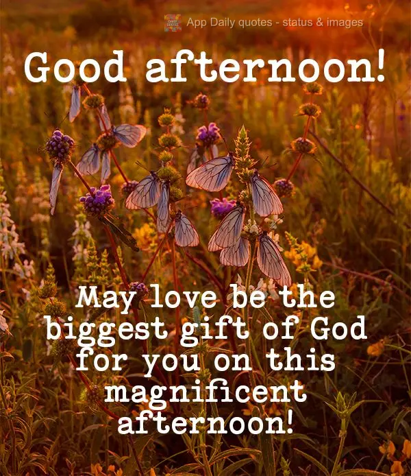 May love be the biggest gift of God for you on this magnificent afternoon! Good afternoon!