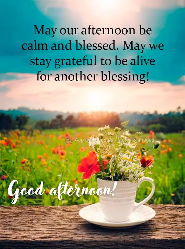 May our afternoon be calm and blessed. May we stay grateful to be alive for another blessing! Good afternoon!