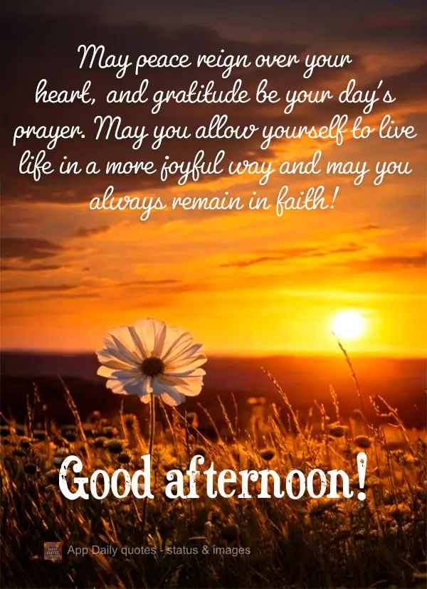 May peace reign over your heart, and gratitude be your day's prayer. May you allow yourself to live life in a more joyful way and may you always remain i...