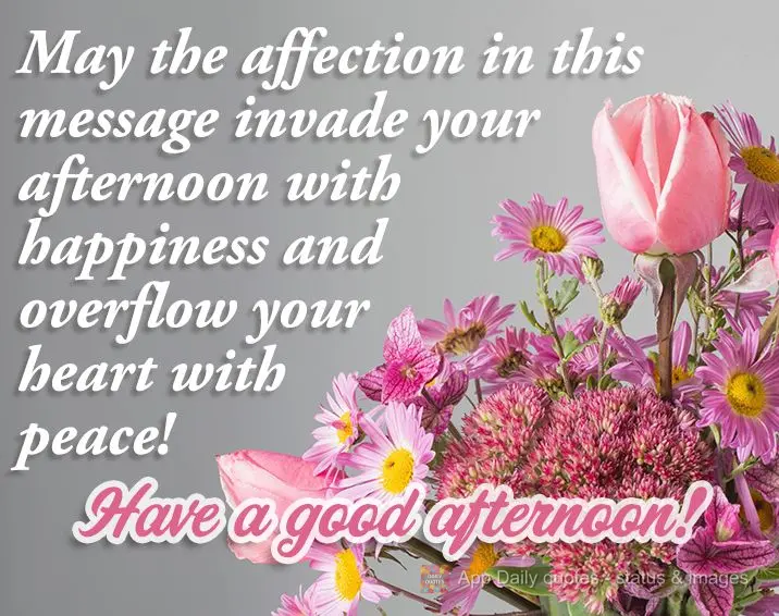 May the affection in this message invade your afternoon with happiness and overflow your heart with peace! Have a good afternoon!