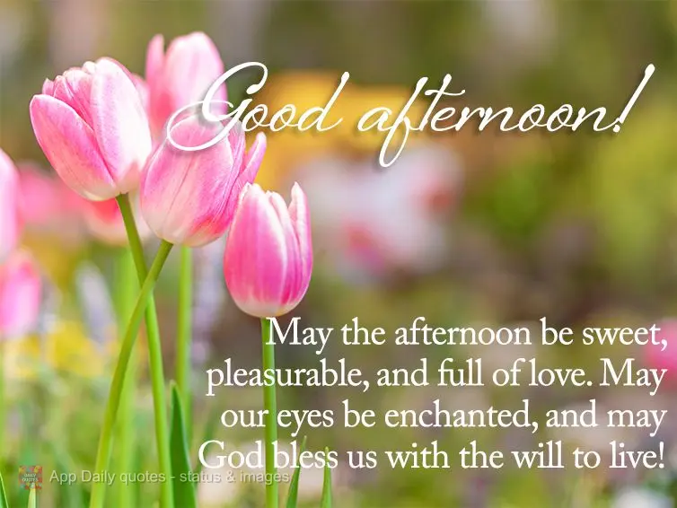 May the afternoon be sweet, pleasurable, and full of love. May our eyes be enchanted, and may God bless us with the will to live! Good afternoon!