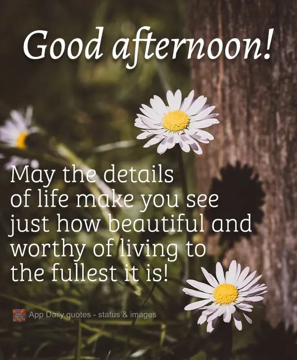 May the details of life make you see just how beautiful and worthy of living to the fullest it is! Good afternoon!