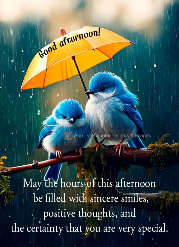 May the heat of this afternoon warm your heart and give you strength to continue writing your story with letters of hope. Good afternoon!