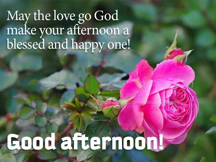 May the love of God make your afternoon a blessed and happy one! Good afternoon! 