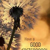 May the love of God prevail on this marvelous afternoon, and put in your heart the most wonderful feelings you can receive! Have a good afternoon!