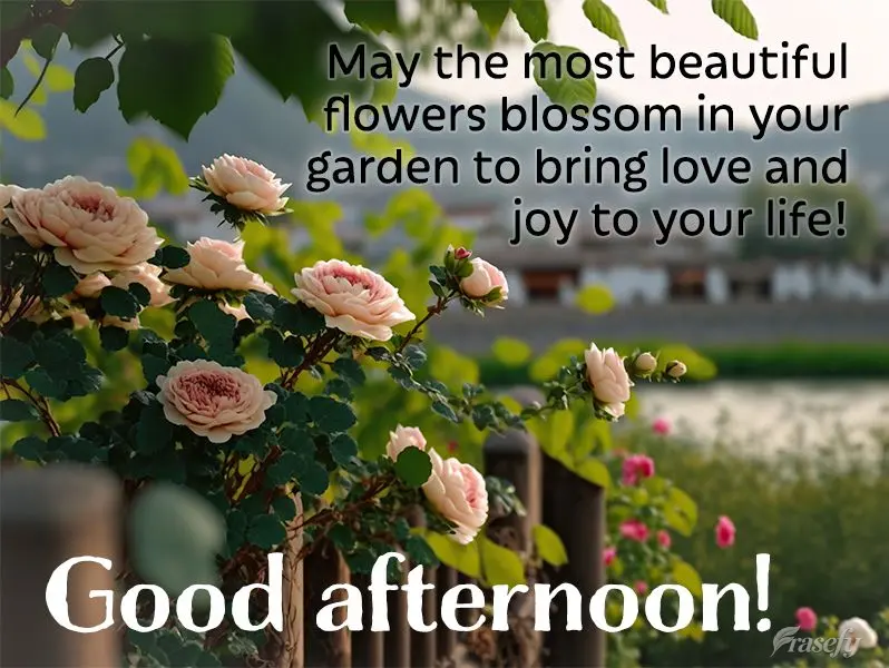 May the most beautiful flowers blossom in your garden to bring love and joy to your life! Good afternoon!