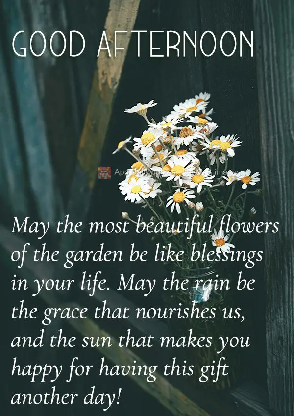 May the most beautiful flowers of the garden be like blessings in your life. May the rain be the grace that nourishes us, and the sun that makes you happ...