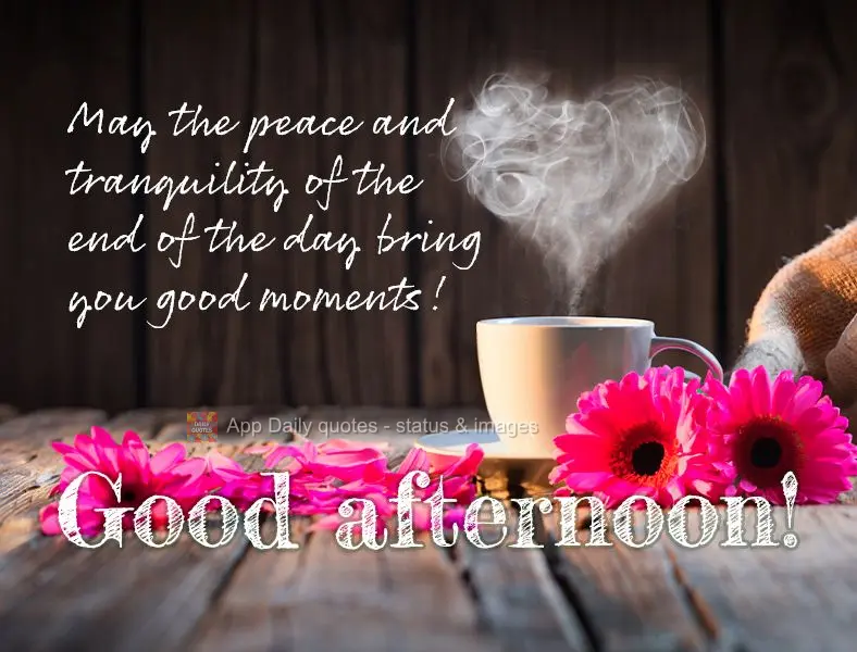 May the peace and tranquility of the end of the day bring you good moments! Good afternoon!