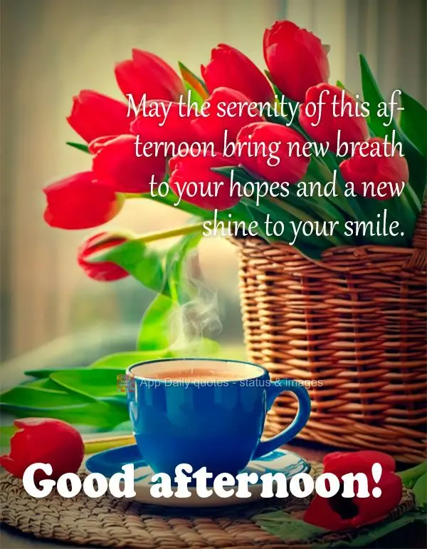 May the serenity of this afternoon bring new breath to your hopes and a new shine to your smile. Good afternoon!