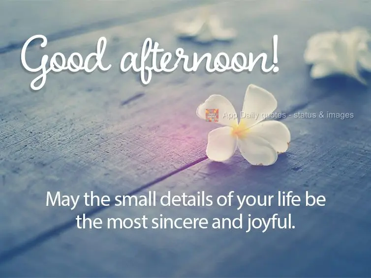 May the small details of your life be the most sincere and joyful. Good afternoon!