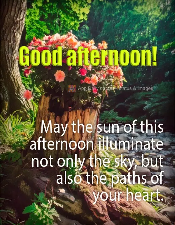 May the sun of this afternoon illuminate not only the sky, but also the paths of your heart. Good afternoon!