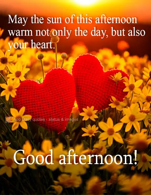 May the sun of this afternoon warm not only the day, but also your heart. Good afternoon!