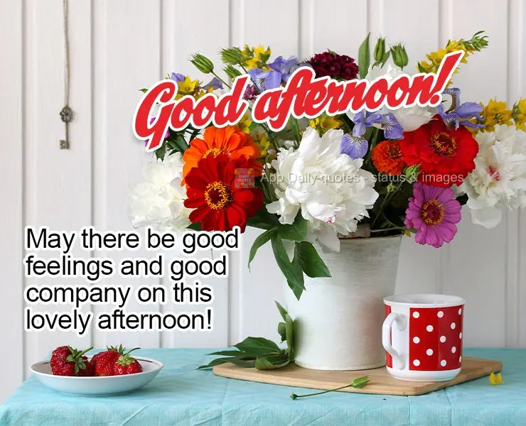 May there be good feelings and good company on this lovely afternoon! Good afternoon!