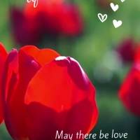 May there be love and joy to enchant your eyes and warm your heart! Good afternoon!