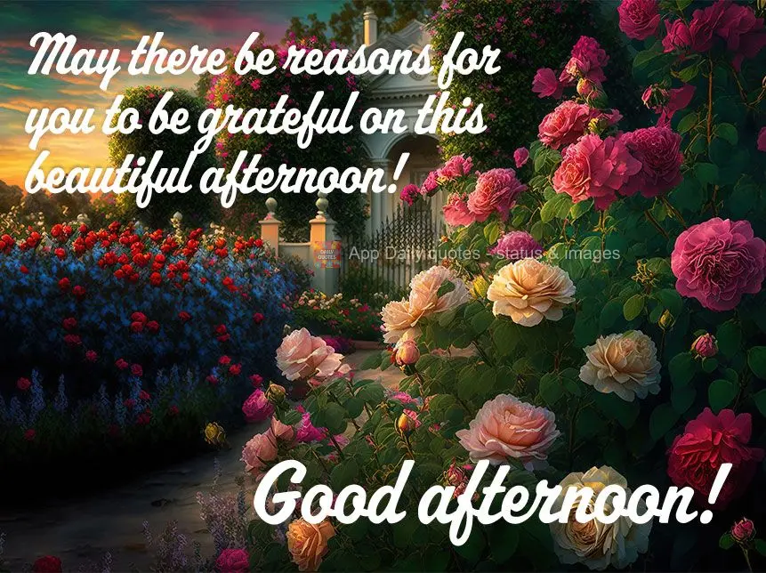 May there be reasons for you to be grateful on this beautiful afternoon! Good afternoon!
