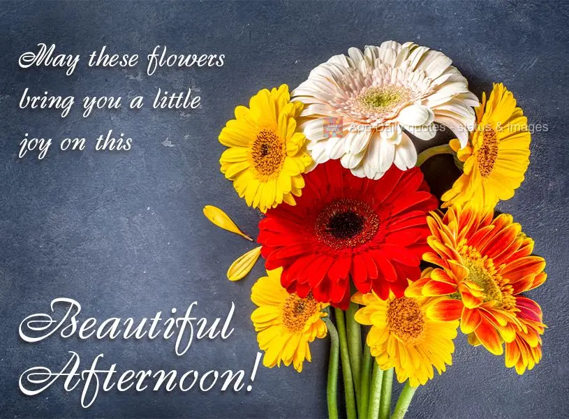 May these flowers bring you a little joy on this beautiful afternoon!