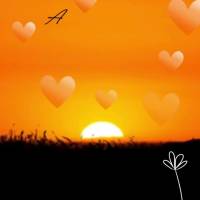 May this afternoon be peaceful and motivating, and may your heart be full of reasons to be grateful! Good afternoon!