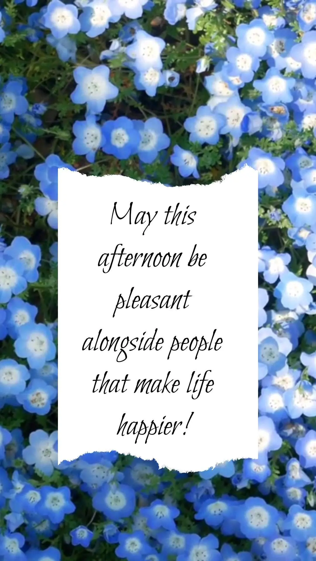 May this afternoon be pleasant alongside people that make life happier!