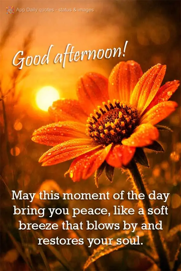 May this moment of the day bring you peace, like a soft breeze that blows by and restores your soul. Good afternoon!