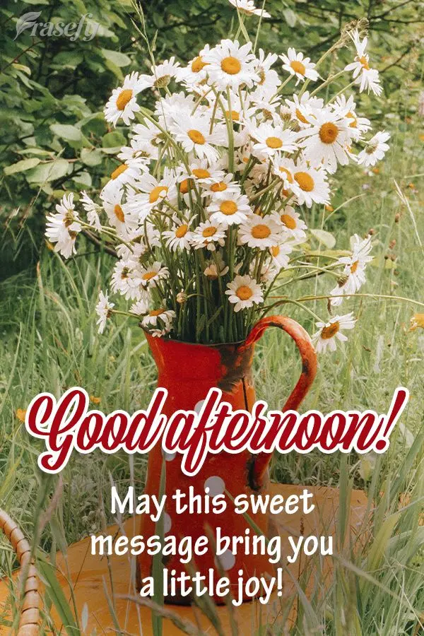 May this sweet message bring you a little joy! Good afternoon!