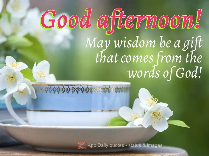 May wisdom be a gift that comes from the words of God! Good afternoon!