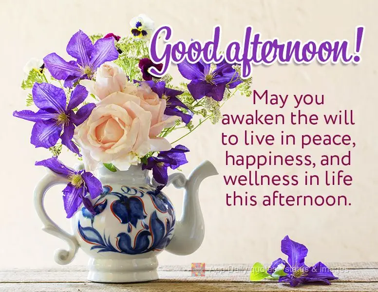 May you awaken the will to live in peace, happiness, and wellness for the rest of your life this afternoon. Good afternoon!