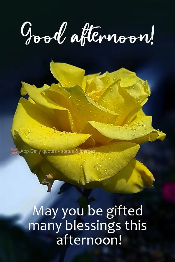 May you be gifted many blessings this afternoon! Good afternoon!