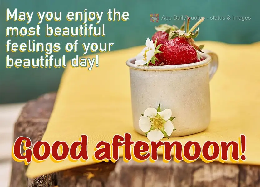 May you enjoy the most beautiful feelings in your beautiful day! Good afternoon!