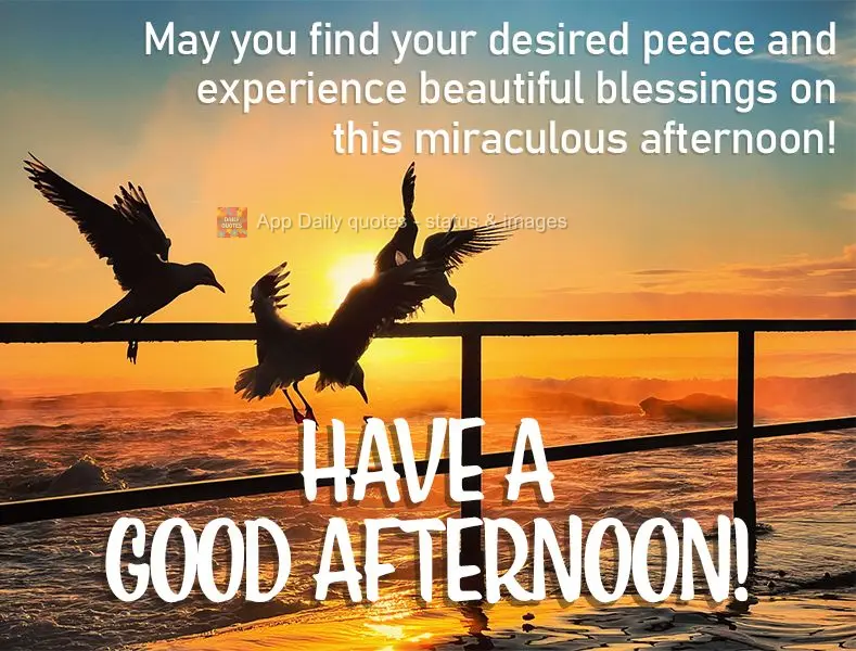 May you find the peace you're hoping for and experience beautiful blessings on this miraculous afternoon! Have a good afternoon!