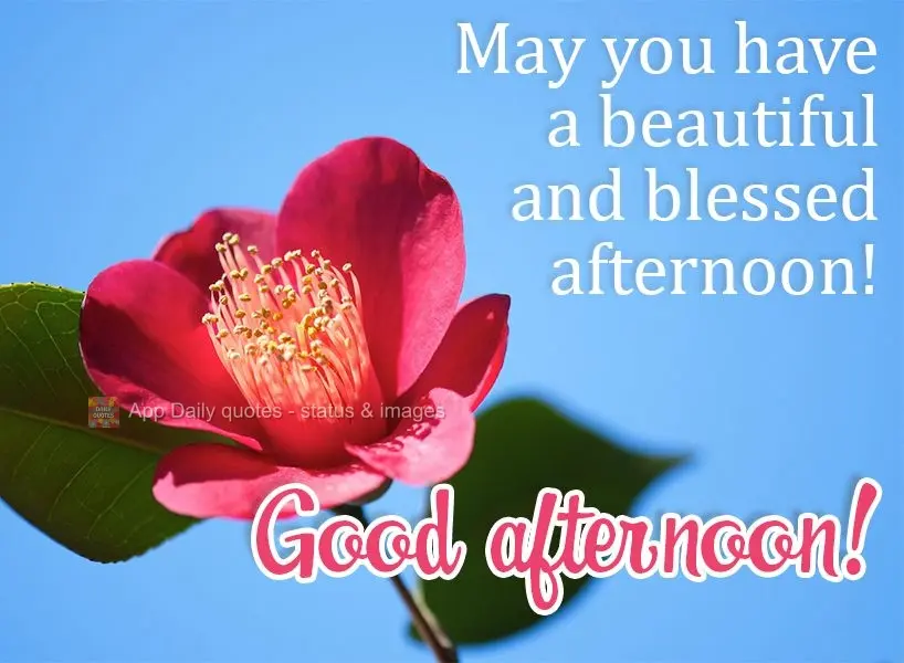 May you have a beautiful and blessed afternoon! Good afternoon!