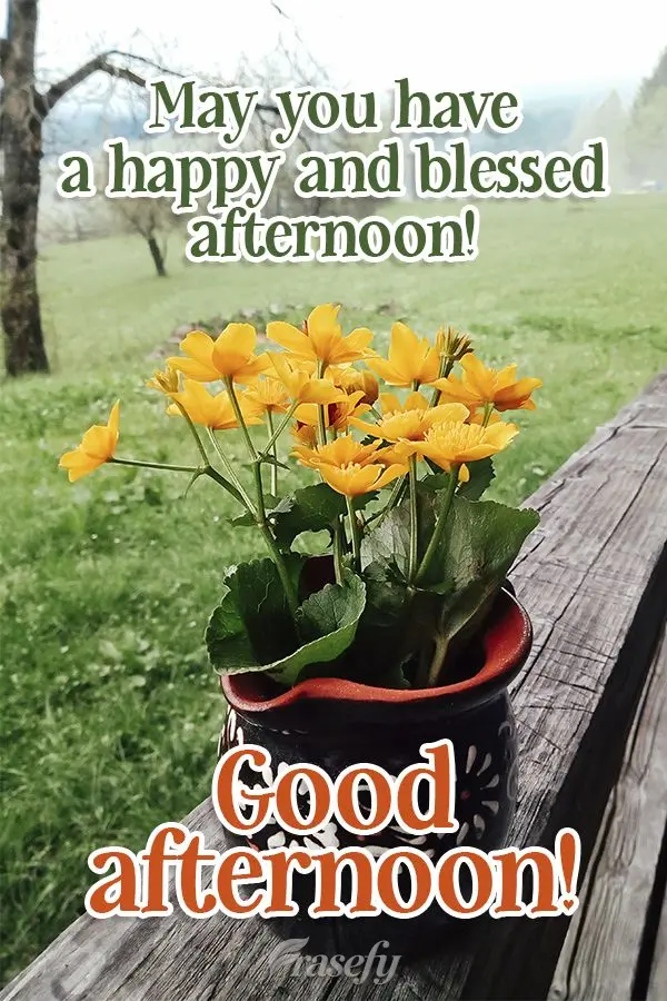 May you have a happy and blessed afternoon! Good afternoon!